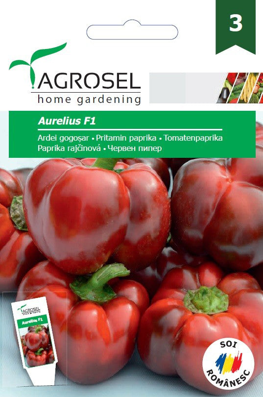 Ardei Gogosar Aurelius F1 (As6 217 F1)