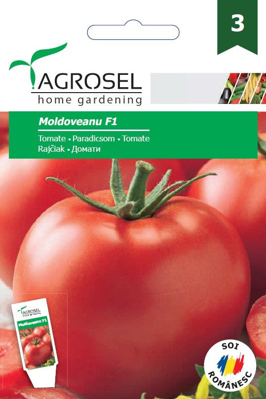 Tomate Moldoveanu F1 (As5 307 F1)