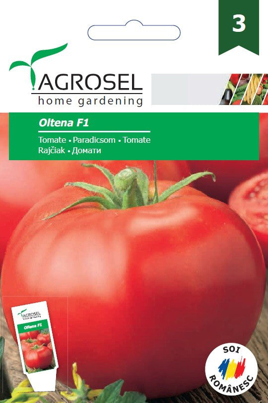 Tomate Oltena F1 (As5 311 F1)