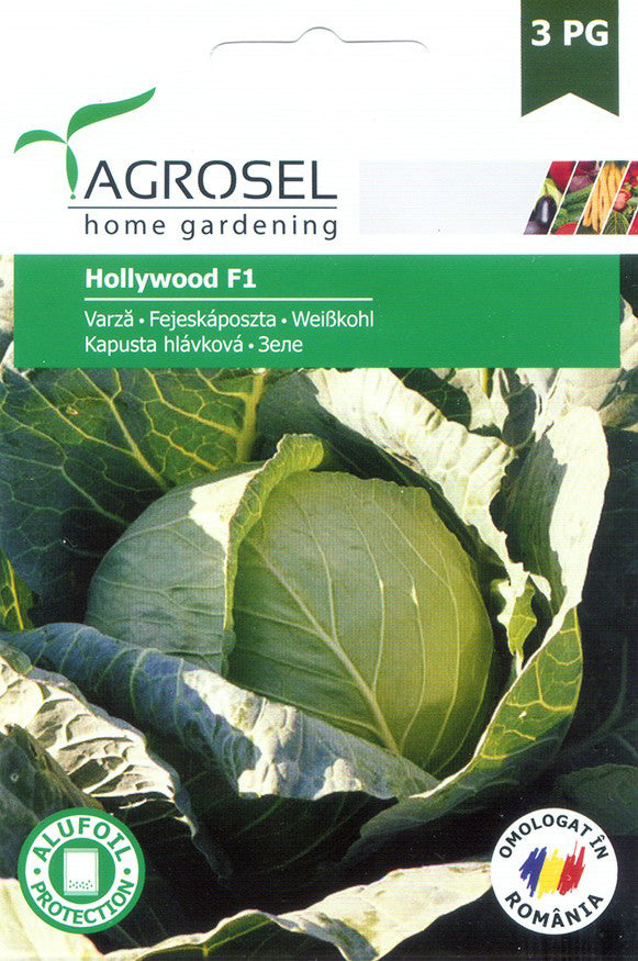 Varza Hollywood F1