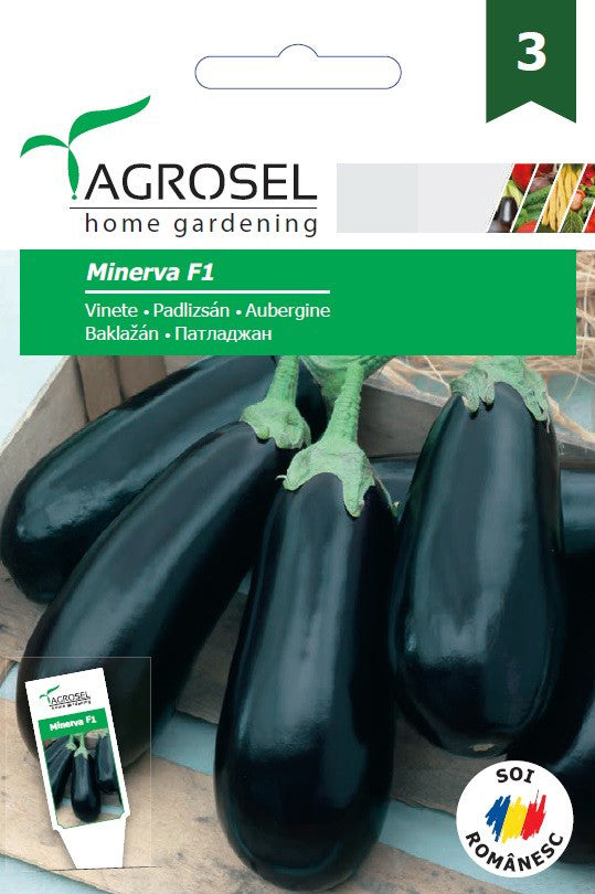 Vinete Minerva F1 (As6 227 F1)