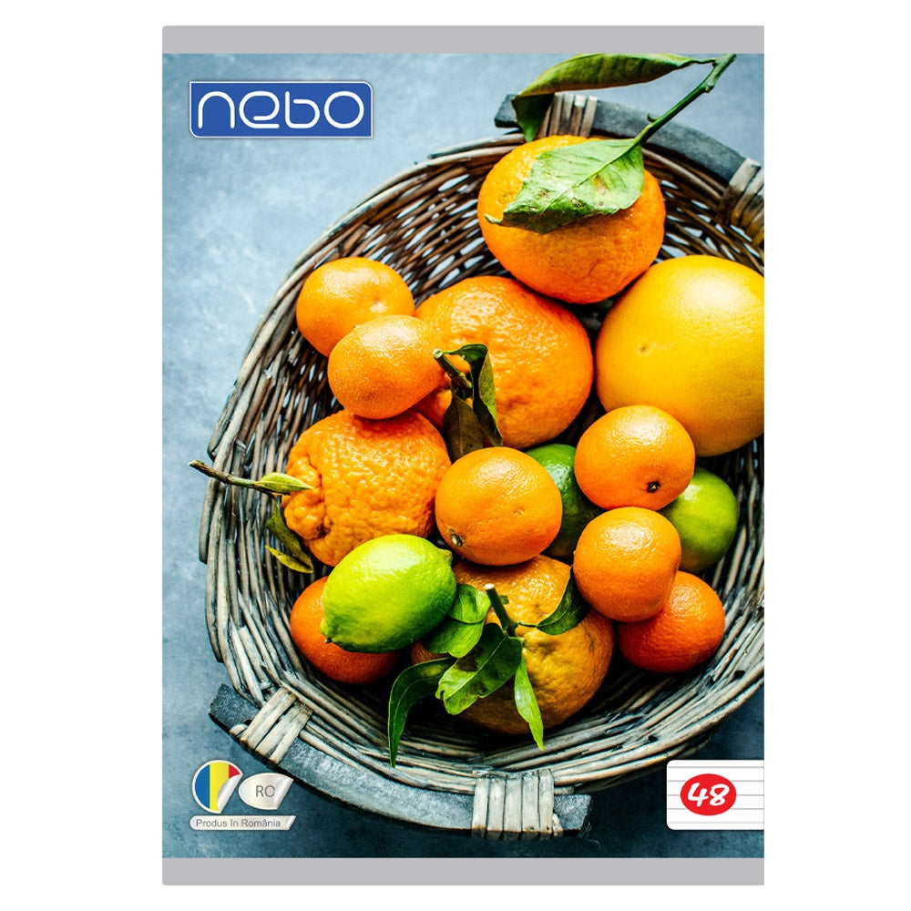 Caiet A4 48 File Nebo Dr 16576