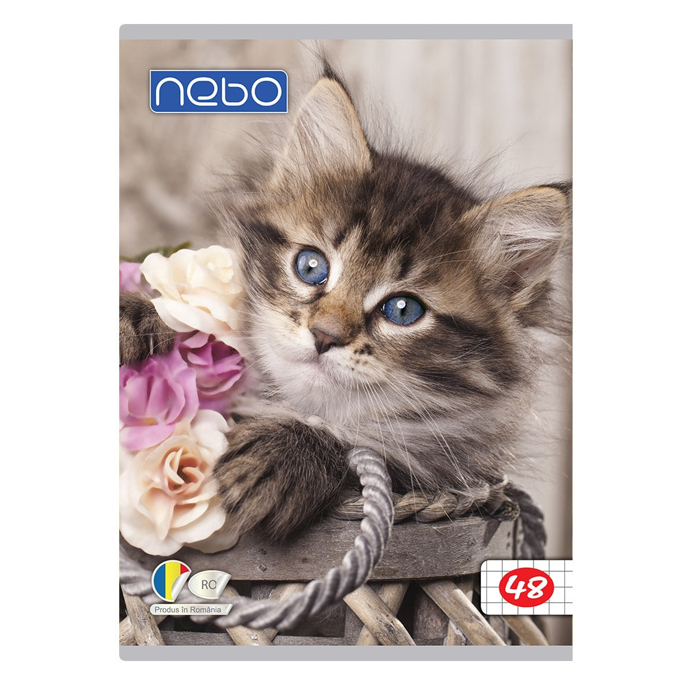 Caiet A5 48 File Nebo Ar 16581