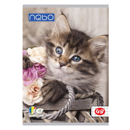 Caiet A5 48 File Nebo Ar 16581