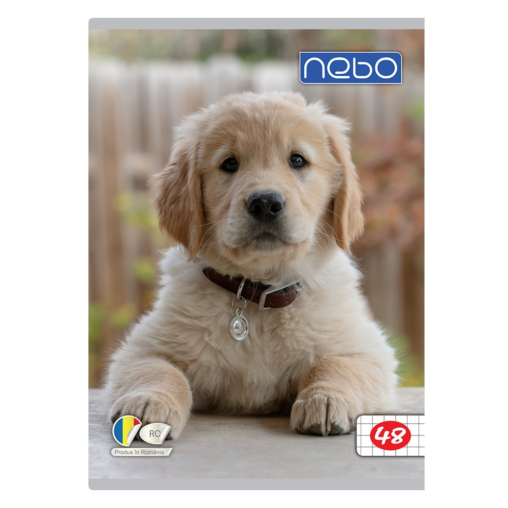 Caiet A5 48 File Nebo Ar 16581