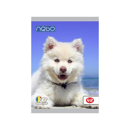 Caiet A5 48 File Nebo, Foi Veline 16583