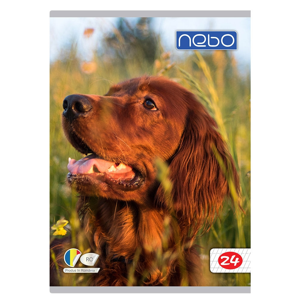 Caiet A5 Tip I 24 File Nebo 16584