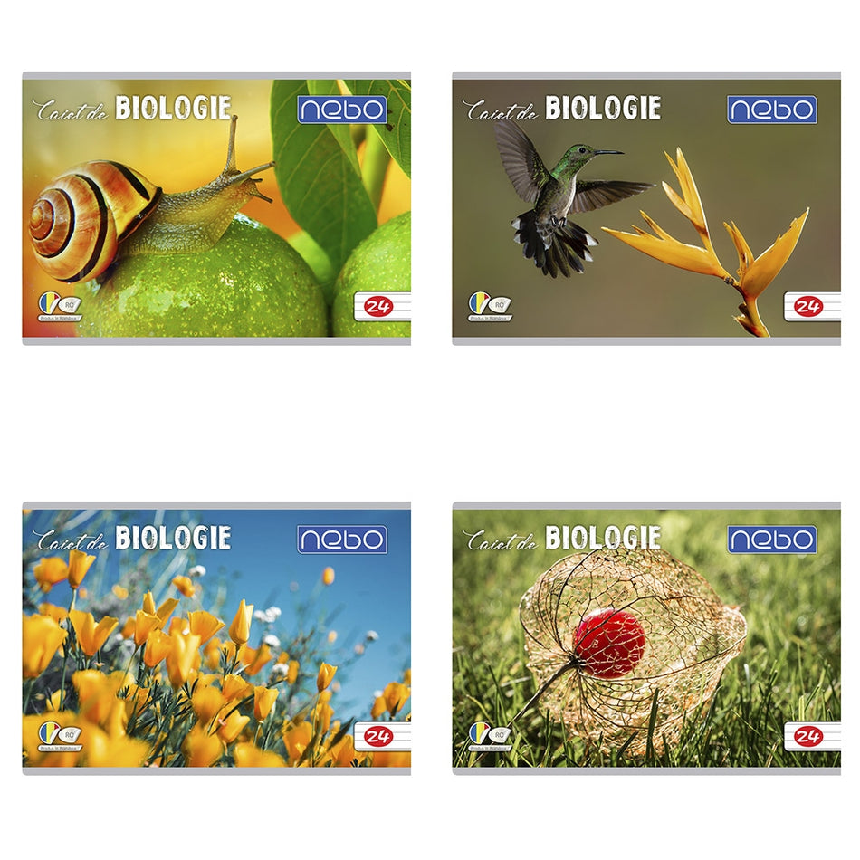 Caiet Biologie 24 File Nebo 16599