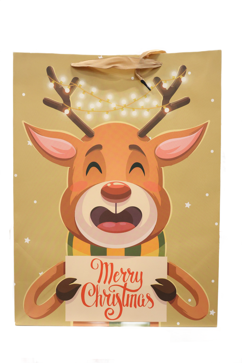 XMAS PUNGA HARTIE REN 40X30X12
