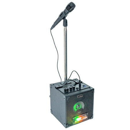 Set Karaoke Cu Doua Microfoane