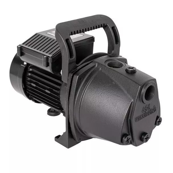 Pompa Autoamorsata, Corp Fonta, 1150w Asp Max 93h = 52m, Q=70l/min