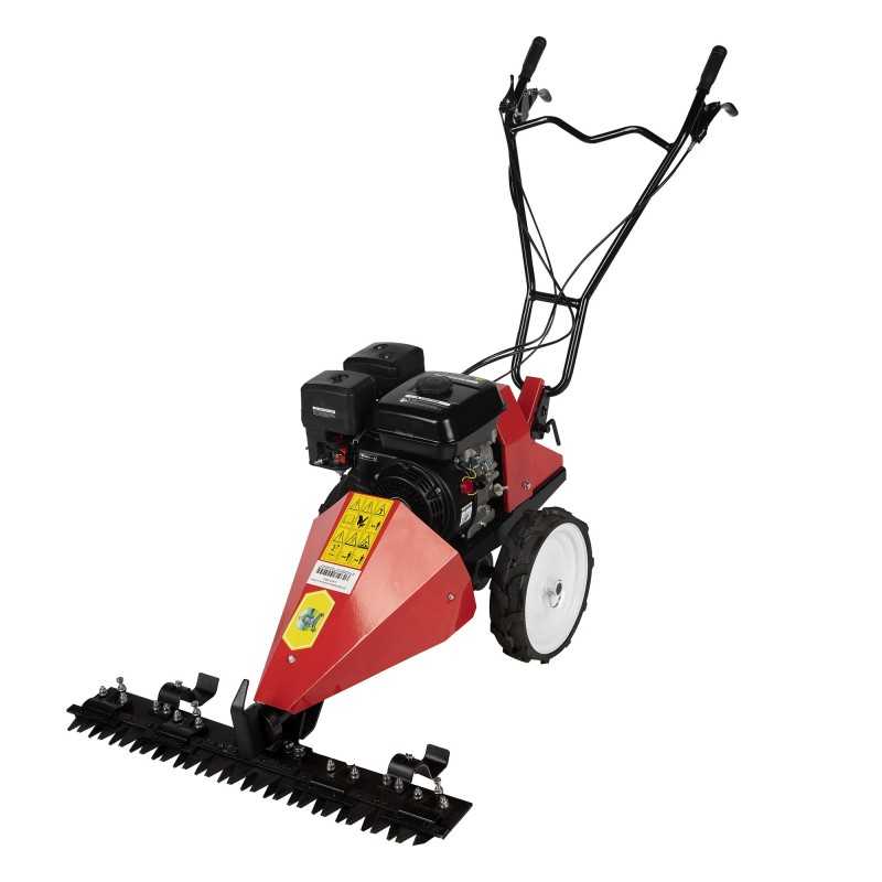 Motocositoare Cu Lama 4 T, 6.5cp 199 Cc
