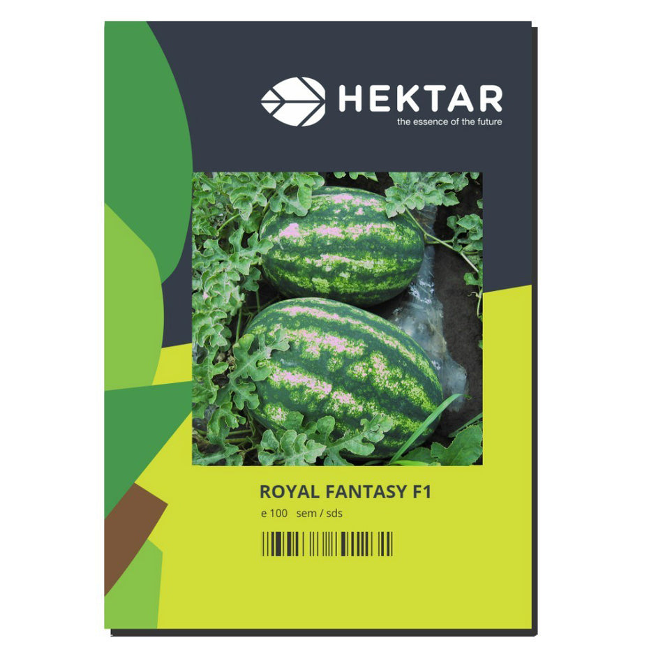 Pepene Verde Royal Fantasy F1 100 Sem