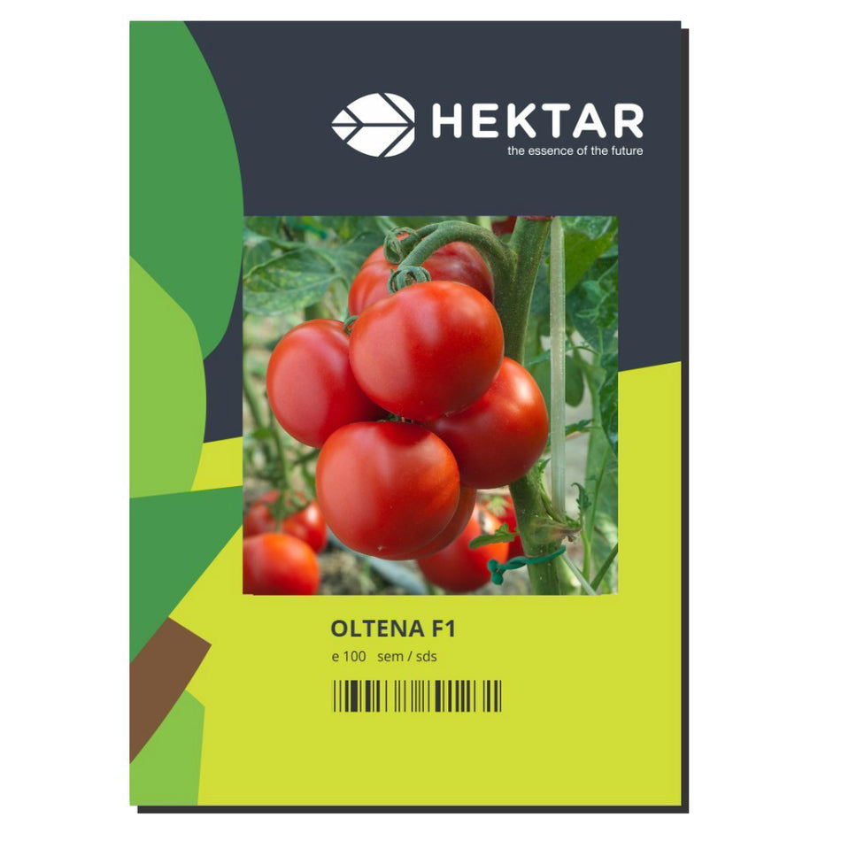 Tomate Oltena F1 100 Sem