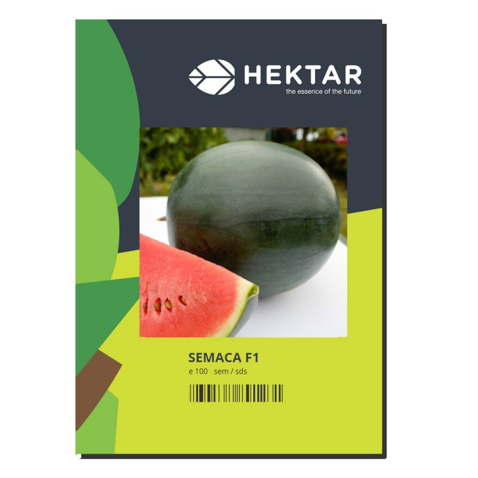 Pepene Verde Semaca F1 100 Sem