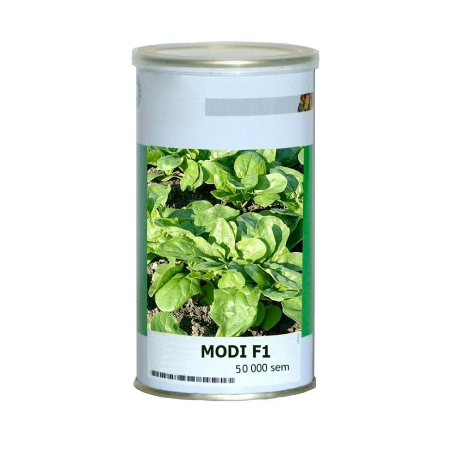 Spanac Modi F1 50000 Sem