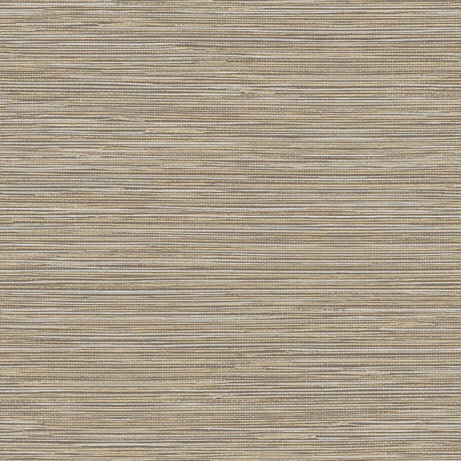 Decor Tahiti Faset Insert 1925 25x50
