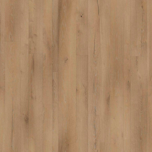Parchet Laminat Serenza 2504 12mm Ac5