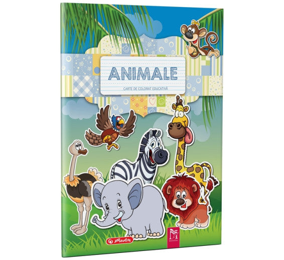 Carte De Colorat A4, 16 Pagini, Alfabet Cu Animale
