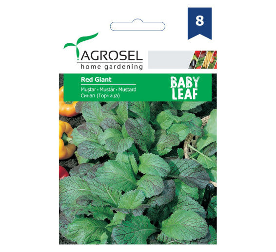 Mustar Baby Leaf