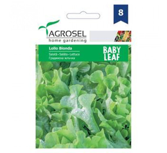 Salata Creata Alba Lollo Bionda baby Leaf