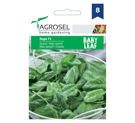 Spanac Saga F1 Baby Leaf