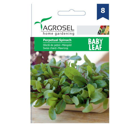 Sfecla De Petiol Perpetual Spinach Baby Leaf