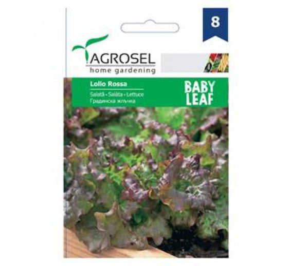 Salata Creata Rosie Lollo Rossa Baby Leaf