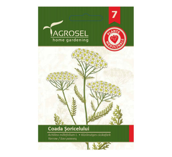 Coada Soricelului