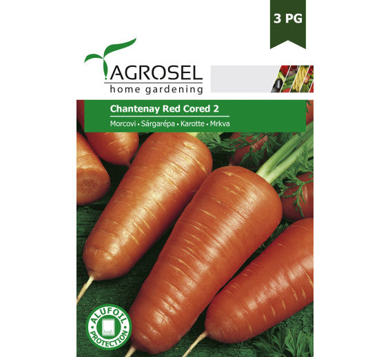 Morcovi Chantenay Red Cored2