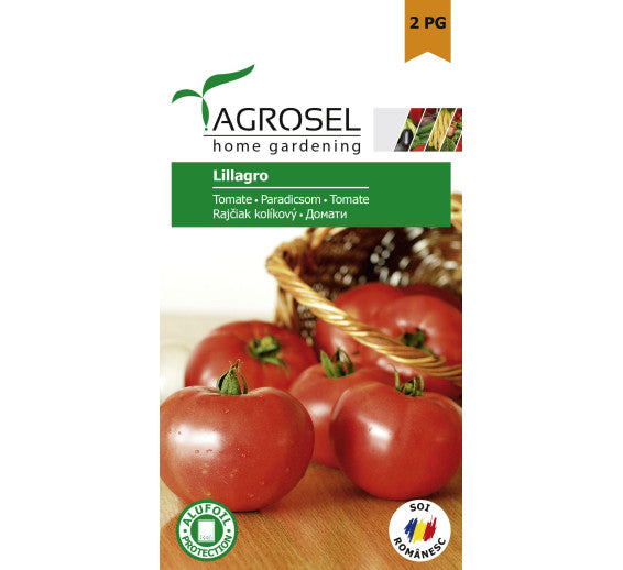 Tomate Lillagro
