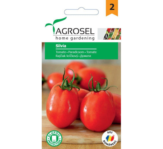 Tomate Silvia (Asp 1605)