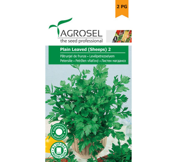 Patrunjel De Frunze Plain Leaved 2