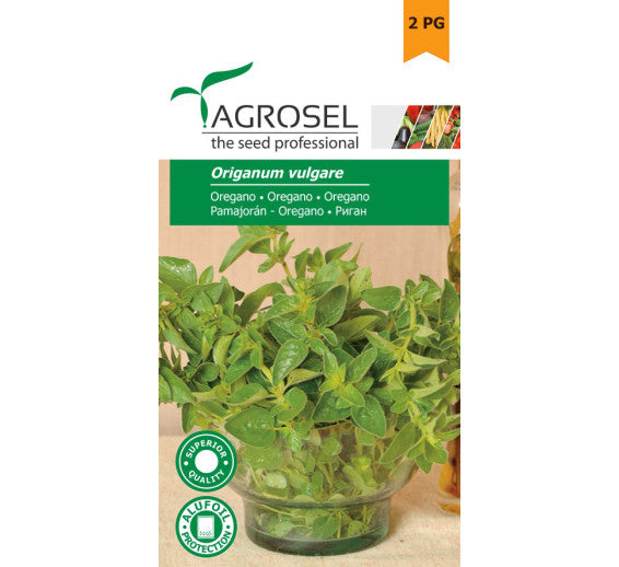 Oregano