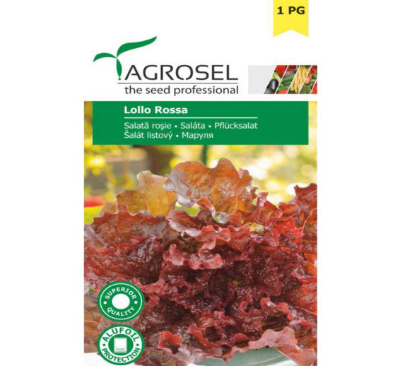 Salata Creata Rosie Lollo Rossa