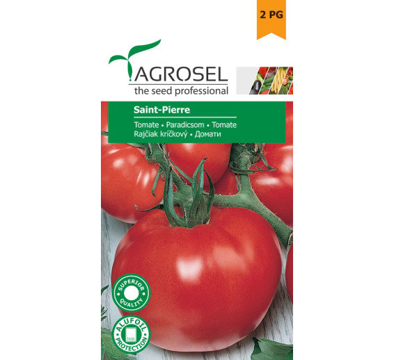 Tomate Saint-Pierre