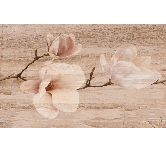 Decor Pastel Magnolia Beige 1.2mp/Cut