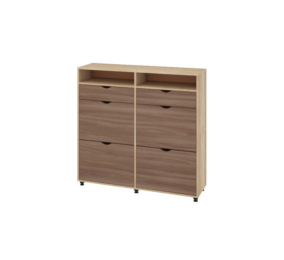 Dulap Pantofi T6