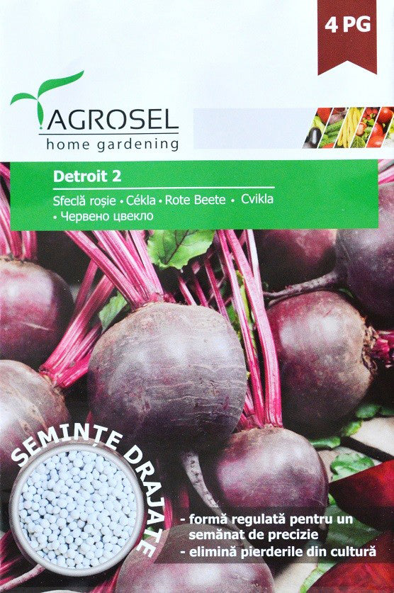 Sfecla Rosie Detroit 2