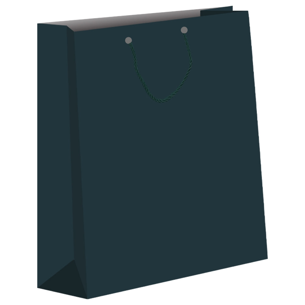 Punga Cadou Unicolora, 32x44x11cm