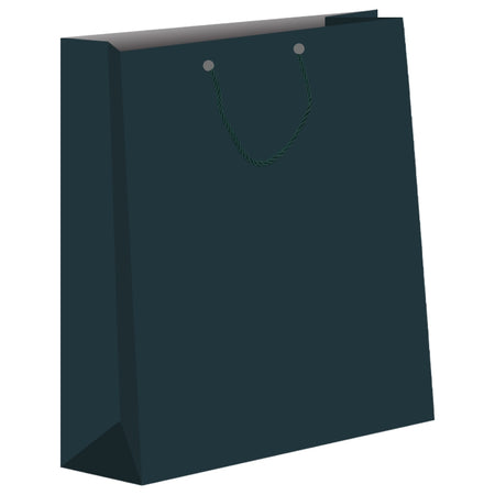 Punga Cadou Unicolora, 32x44x11cm