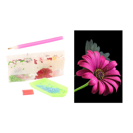 Set creatie cu diamante, Natura- Toi-Toys