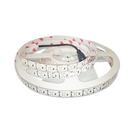 Banda Led Smd3014 204led/m Ip20 5m