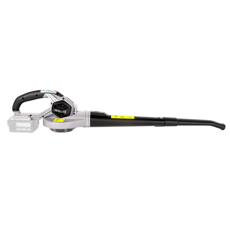 Suflantă electrică pentru frunze, 2000W, 20V, 210Km/h DZ-FX1010-G01